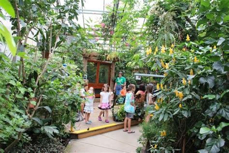 Experience the serenity of the Magic Wings Butterfly Conservatory